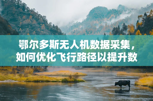鄂尔多斯无人机数据采集，如何优化飞行路径以提升数据质量？