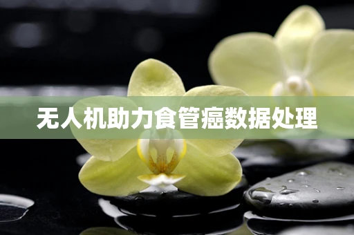 无人机助力食管癌数据处理