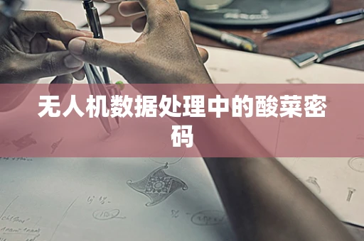 无人机数据处理中的酸菜密码