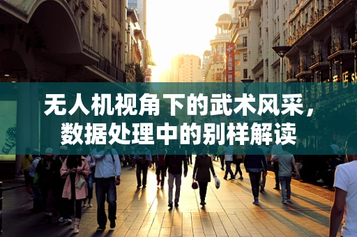无人机视角下的武术风采，数据处理中的别样解读