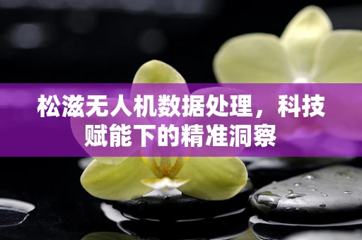 松滋无人机数据处理，科技赋能下的精准洞察