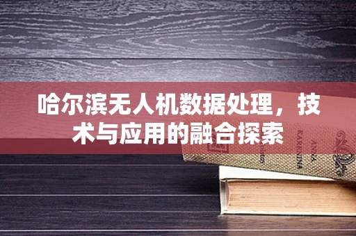 哈尔滨无人机数据处理，技术与应用的融合探索
