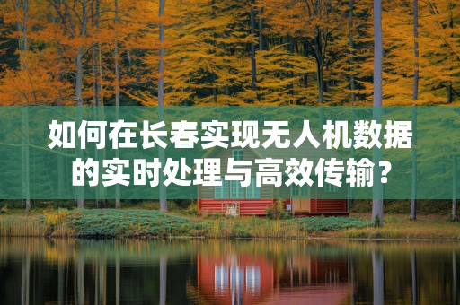 如何在长春实现无人机数据的实时处理与高效传输？