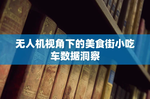 无人机视角下的美食街小吃车数据洞察