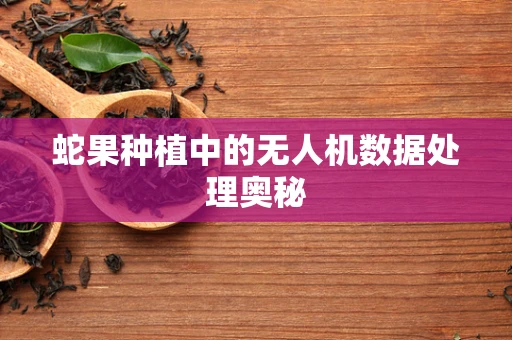 蛇果种植中的无人机数据处理奥秘