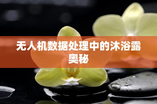 无人机数据处理中的沐浴露奥秘
