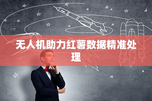无人机助力红薯数据精准处理