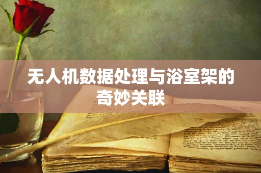 无人机数据处理与浴室架的奇妙关联
