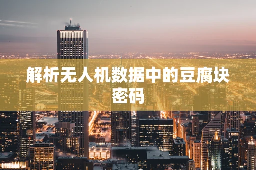 解析无人机数据中的豆腐块密码