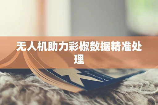 无人机助力彩椒数据精准处理