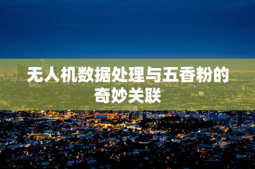 无人机数据处理与五香粉的奇妙关联