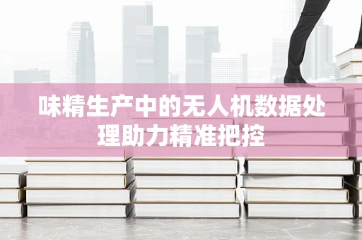 味精生产中的无人机数据处理助力精准把控