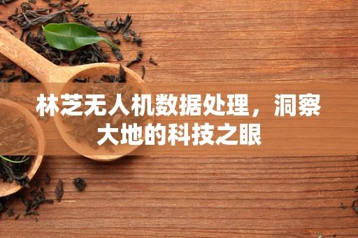 林芝无人机数据处理，洞察大地的科技之眼