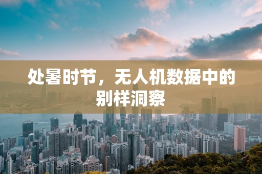 处暑时节，无人机数据中的别样洞察