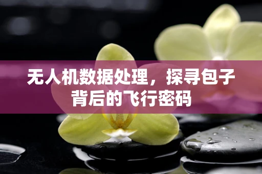 无人机数据处理，探寻包子背后的飞行密码