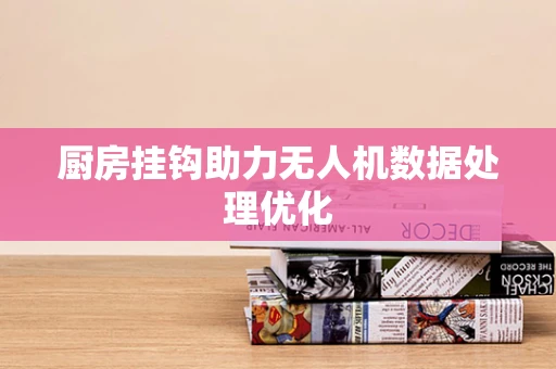 厨房挂钩助力无人机数据处理优化