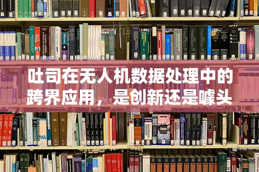 吐司在无人机数据处理中的跨界应用，是创新还是噱头？