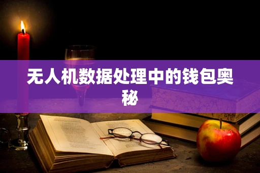 无人机数据处理中的钱包奥秘