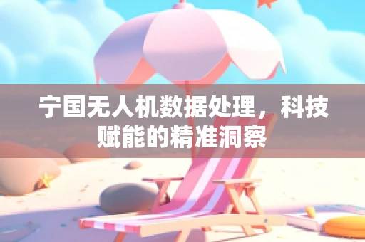 宁国无人机数据处理，科技赋能的精准洞察