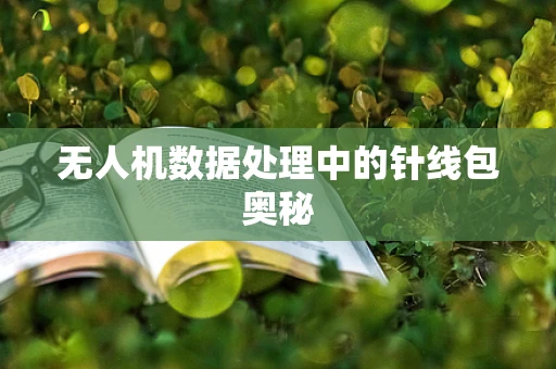 无人机数据处理中的针线包奥秘