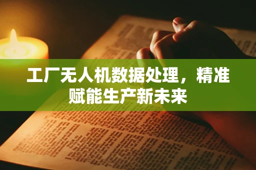 工厂无人机数据处理，精准赋能生产新未来