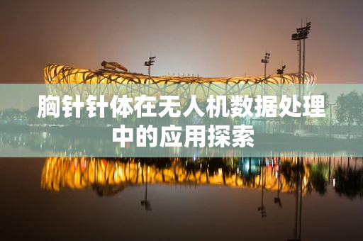 胸针针体在无人机数据处理中的应用探索
