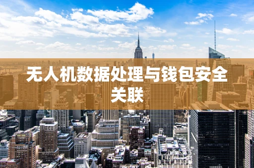 无人机数据处理与钱包安全关联