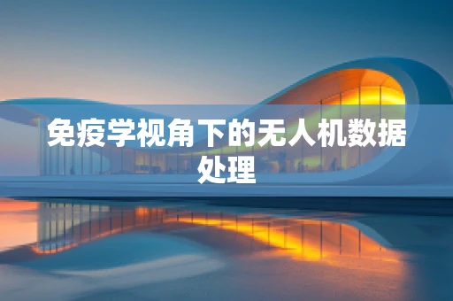 免疫学视角下的无人机数据处理