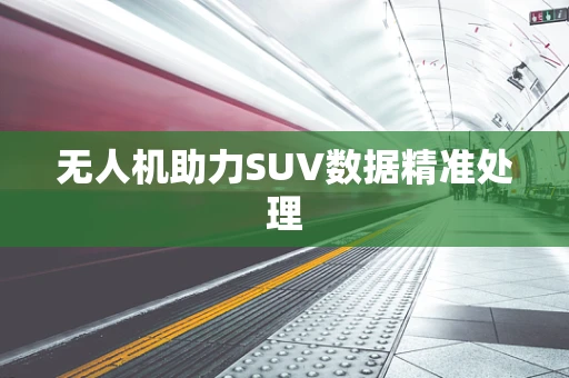无人机助力SUV数据精准处理