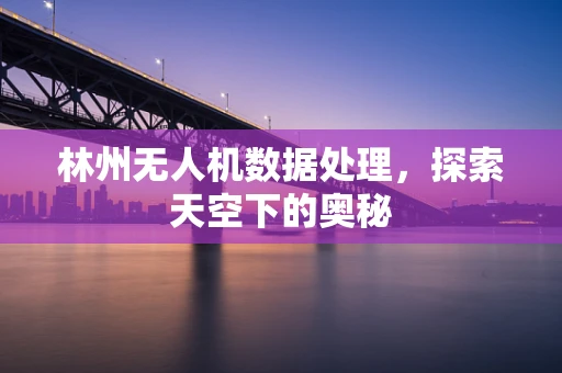 林州无人机数据处理，探索天空下的奥秘