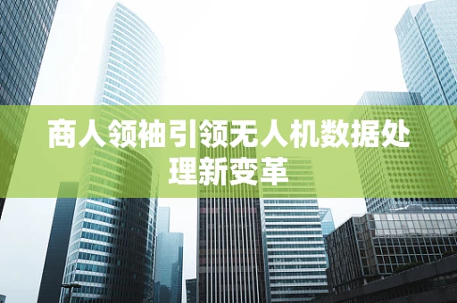 商人领袖引领无人机数据处理新变革