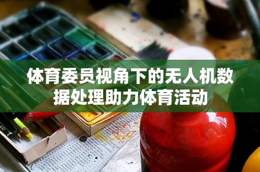 体育委员视角下的无人机数据处理助力体育活动