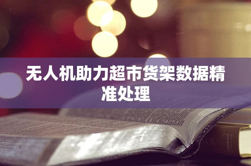 无人机助力超市货架数据精准处理