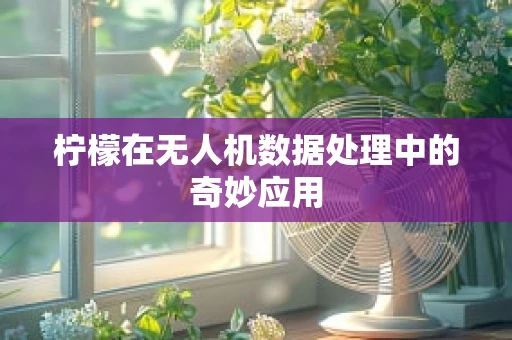 柠檬在无人机数据处理中的奇妙应用