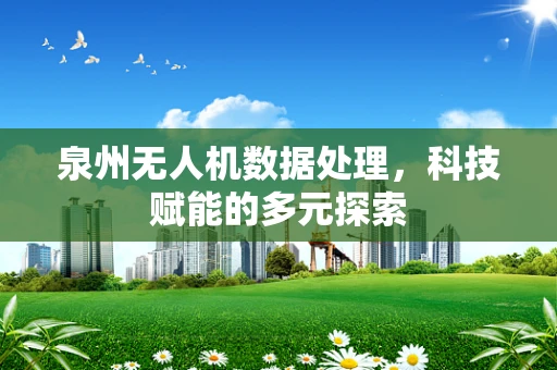 泉州无人机数据处理，科技赋能的多元探索