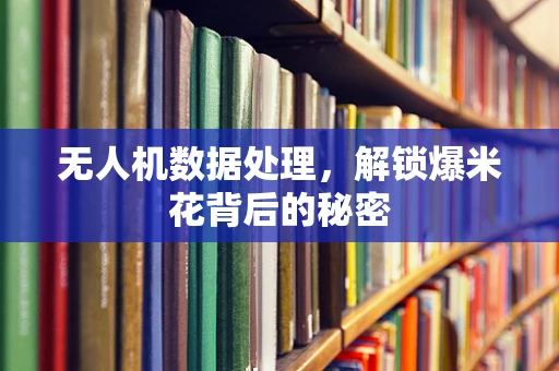 无人机数据处理，解锁爆米花背后的秘密