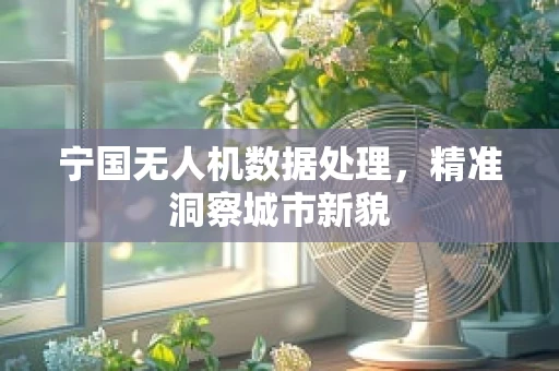 宁国无人机数据处理，精准洞察城市新貌