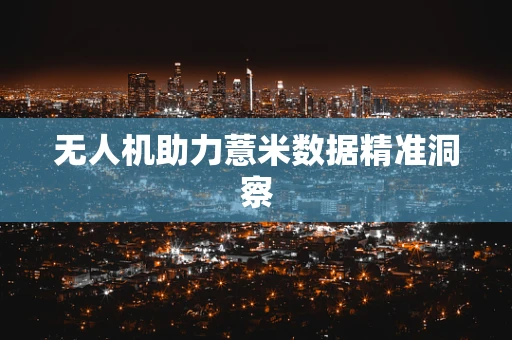 无人机助力薏米数据精准洞察