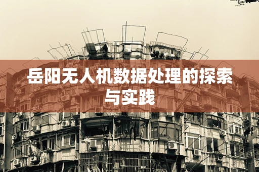 岳阳无人机数据处理的探索与实践