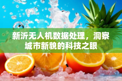 新沂无人机数据处理，洞察城市新貌的科技之眼