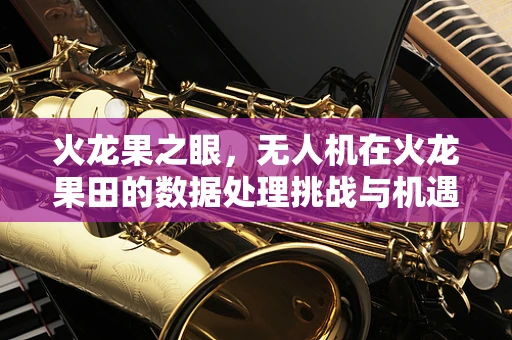 火龙果之眼，无人机在火龙果田的数据处理挑战与机遇