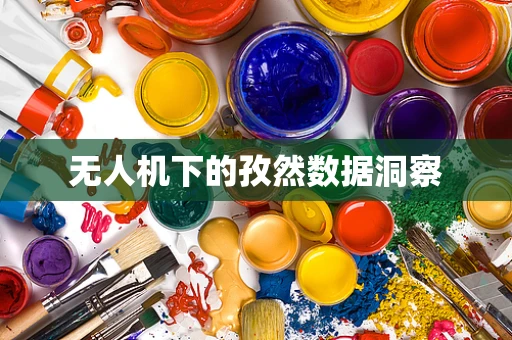 无人机下的孜然数据洞察