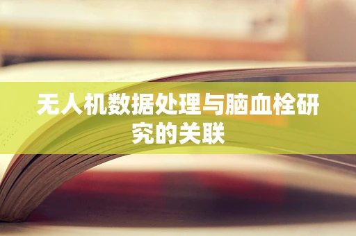 无人机数据处理与脑血栓研究的关联