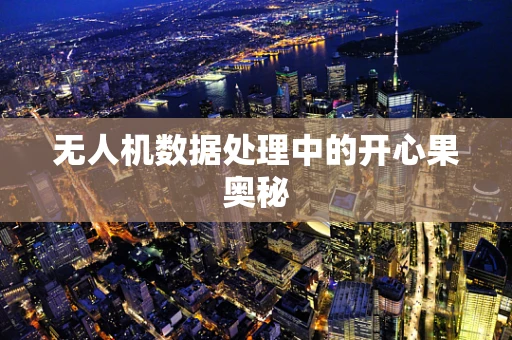 无人机数据处理中的开心果奥秘