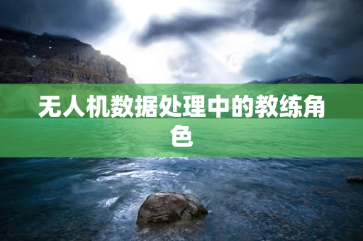 无人机数据处理中的教练角色
