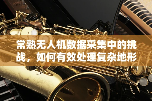 常熟无人机数据采集中的挑战，如何有效处理复杂地形下的高精度影像？