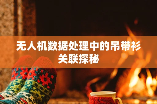 无人机数据处理中的吊带衫关联探秘