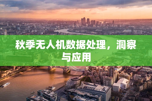 秋季无人机数据处理，洞察与应用