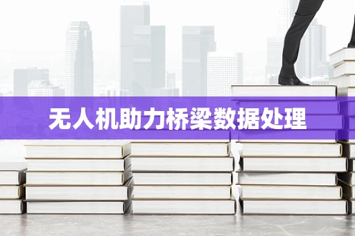 无人机助力桥梁数据处理