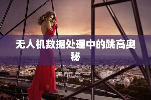 无人机数据处理中的跳高奥秘